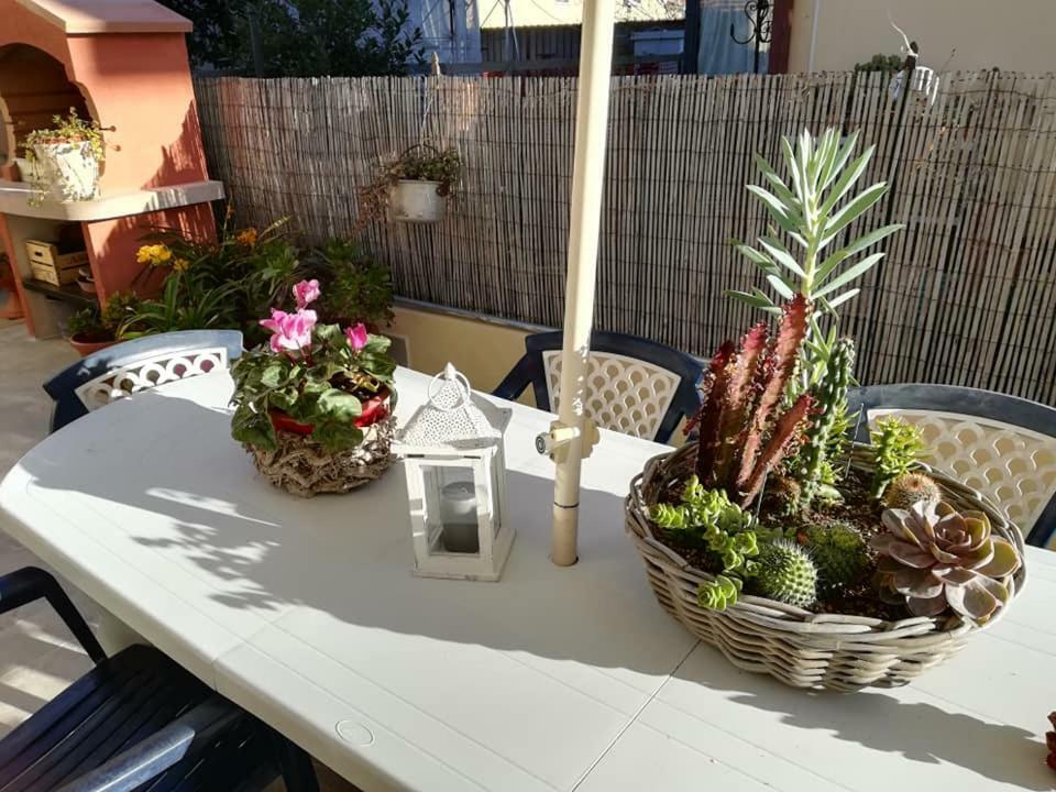 Melon'S House Villa Torre del Lago Puccini Ngoại thất bức ảnh