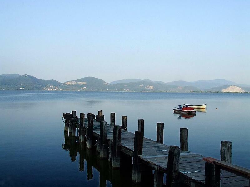 Melon'S House Villa Torre del Lago Puccini Ngoại thất bức ảnh